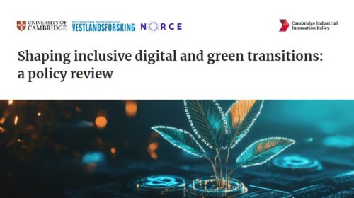 Shaping inclusive digital and green transitions in working life: Insights from our policy webinar